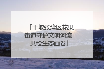 十堰张湾区花果街道守护文明河流 共绘生态画卷