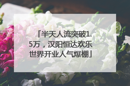 半天人流突破1.5万，汉阳恒达欢乐世界开业人气爆棚
