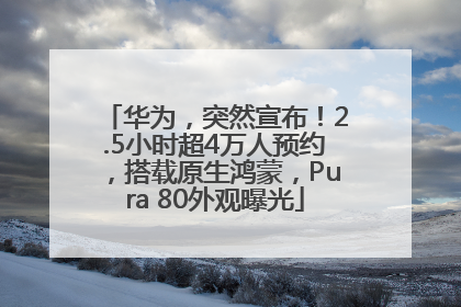 华为，突然宣布！2.5小时超4万人预约，搭载原生鸿蒙，Pura 80外观曝光