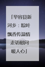 华容县新河乡：粽叶飘香传温情 走访慰问暖人心