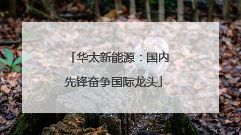 华太新能源：国内先锋奋争国际龙头