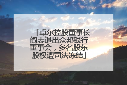 卓尔控股董事长阎志退出众邦银行董事会，多名股东股权遭司法冻结