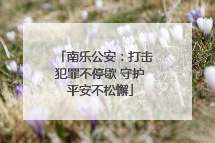 南乐公安：打击犯罪不停歇 守护平安不松懈