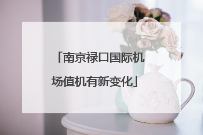 南京禄口国际机场值机有新变化