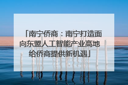 南宁侨商：南宁打造面向东盟人工智能产业高地给侨商提供新机遇