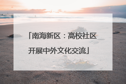 南海新区：高校社区开展中外文化交流