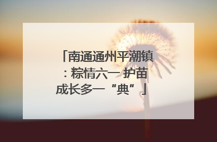 南通通州平潮镇：粽情六一 护苗成长多一“典”