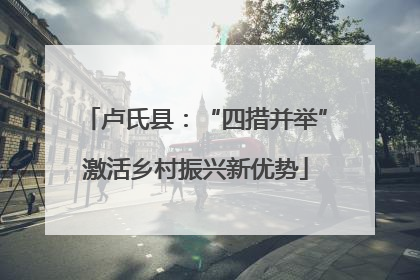 卢氏县：“四措并举”激活乡村振兴新优势