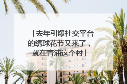 去年引爆社交平台的绣球花节又来了，就在青浦这个村