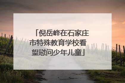 倪岳峰在石家庄市特殊教育学校看望慰问少年儿童