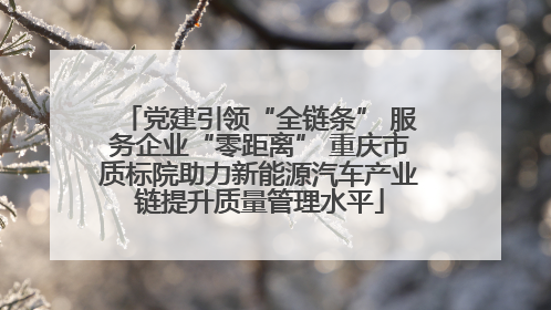 党建引领“全链条” 服务企业“零距离” 重庆市质标院助力新能源汽车产业链提升质量管理水平