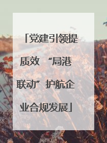 党建引领提质效 “局港联动”护航企业合规发展