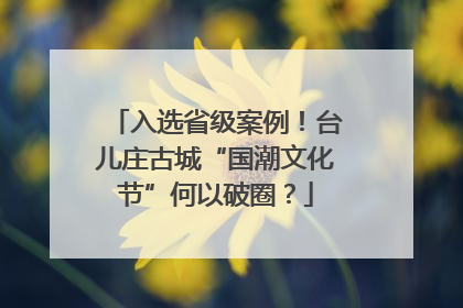 入选省级案例！台儿庄古城“国潮文化节”何以破圈？