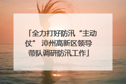 全力打好防汛“主动仗” 漳州高新区领导带队调研防汛工作