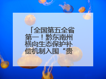 全国第五全省第一！黔东南州横向生态保护补偿机制入围“贵州改革奖”