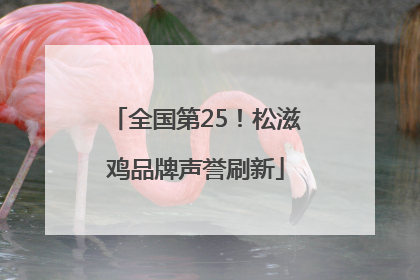 全国第25！松滋鸡品牌声誉刷新