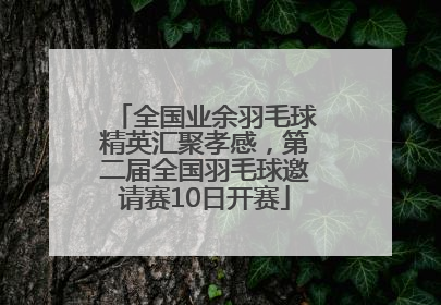 全国业余羽毛球精英汇聚孝感，第二届全国羽毛球邀请赛10日开赛