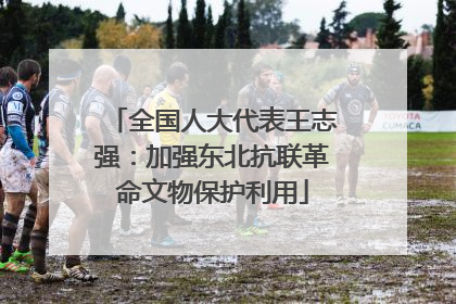 全国人大代表王志强：加强东北抗联革命文物保护利用