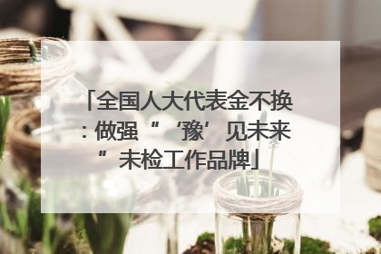 全国人大代表金不换：做强“‘豫’见未来”未检工作品牌