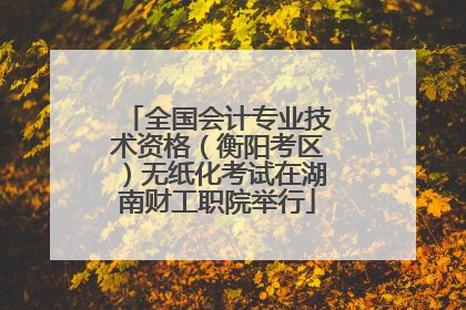 全国会计专业技术资格（衡阳考区）无纸化考试在湖南财工职院举行