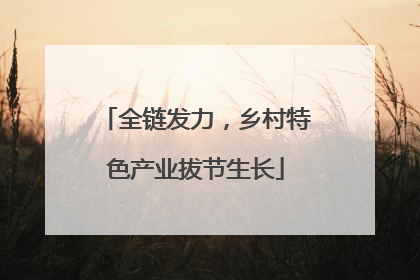 全链发力，乡村特色产业拔节生长