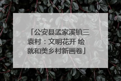 公安县孟家溪镇三袁村：文明花开 绘就和美乡村新画卷