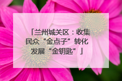 兰州城关区：收集民众“金点子”转化发展“金钥匙”
