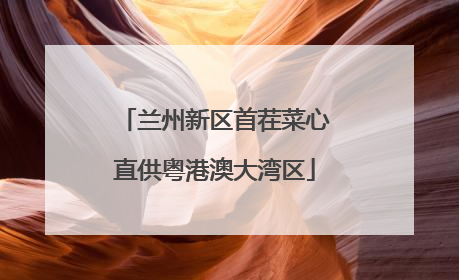 兰州新区首茬菜心直供粤港澳大湾区