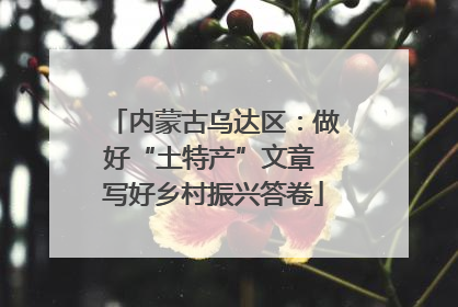 内蒙古乌达区：做好“土特产”文章 写好乡村振兴答卷