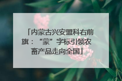 内蒙古兴安盟科右前旗：“蒙”字标引领农畜产品走向全国