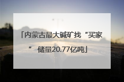 内蒙古最大碱矿找“买家” 储量20.77亿吨