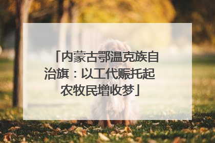 内蒙古鄂温克族自治旗：以工代赈托起农牧民增收梦