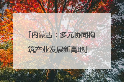 内蒙古：多元协同构筑产业发展新高地