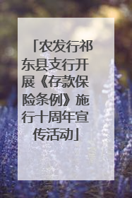 农发行祁东县支行开展《存款保险条例》施行十周年宣传活动