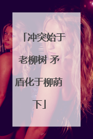 冲突始于老柳树 矛盾化于柳荫下