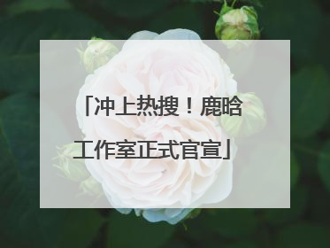 冲上热搜！鹿晗工作室正式官宣