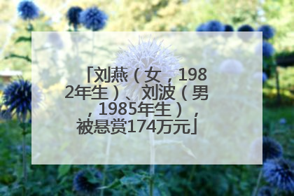 刘燕（女，1982年生）、刘波（男，1985年生），被悬赏174万元