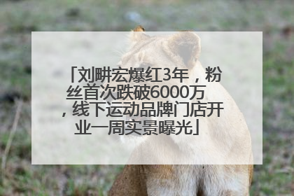刘畊宏爆红3年，粉丝首次跌破6000万，线下运动品牌门店开业一周实景曝光