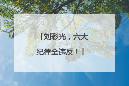 刘彩光，六大纪律全违反！