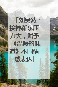 刘昊然：接棒靳东压力大，赋予《温暖的味道》不同情感表达