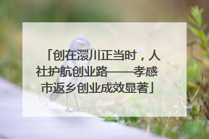 创在澴川正当时，人社护航创业路——孝感市返乡创业成效显著