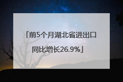 前5个月湖北省进出口同比增长26.9%