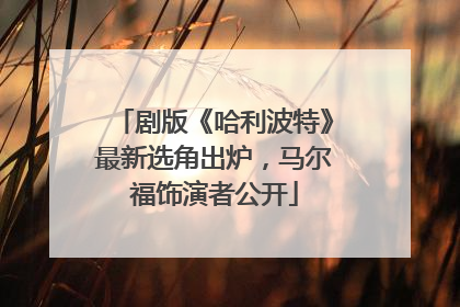 剧版《哈利波特》最新选角出炉，马尔福饰演者公开