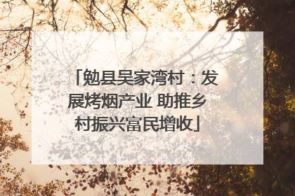 勉县吴家湾村：发展烤烟产业 助推乡村振兴富民增收