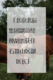 北京北辰集团副总经理胡浩获任石景山区副区长