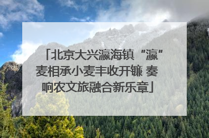 北京大兴瀛海镇“瀛”麦相承小麦丰收开镰 奏响农文旅融合新乐章