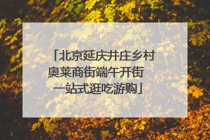 北京延庆井庄乡村奥莱商街端午开街 一站式逛吃游购