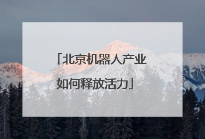 北京机器人产业如何释放活力