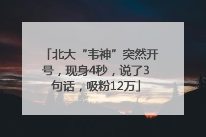 北大“韦神”突然开号，现身4秒，说了3句话，吸粉12万