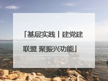 基层实践丨建党建联盟 聚振兴功能